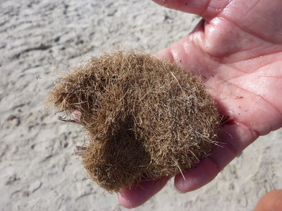 Hier wie es von innen aussieht  Skanes Serail Aquapark