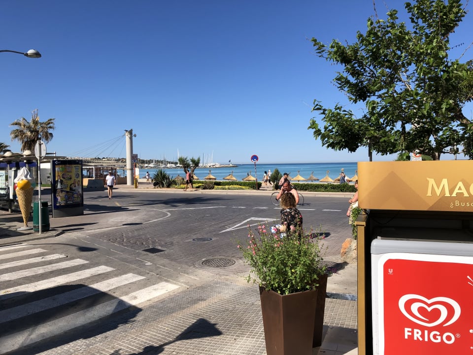 Ausblick allsun Hotel Marena Beach