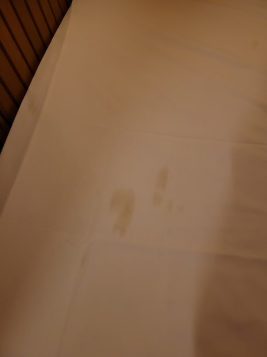 Zimmer Clover Magic Nova Beach