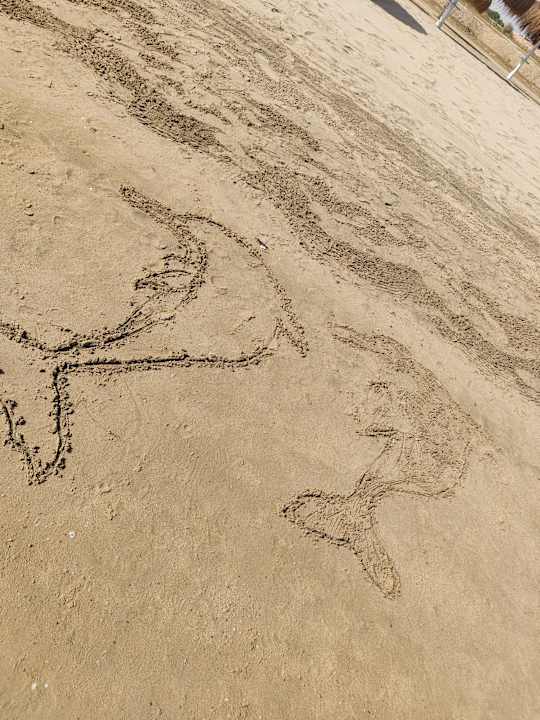 Strand Sentido Caribbean World Soma Bay