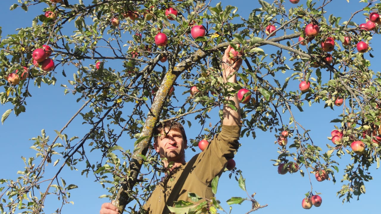 Sonstiges Farm Chalets Mair am Graben