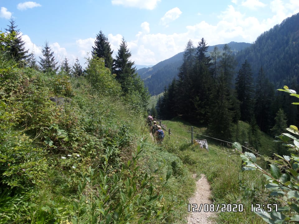 Ausblick Gasthof Almhof