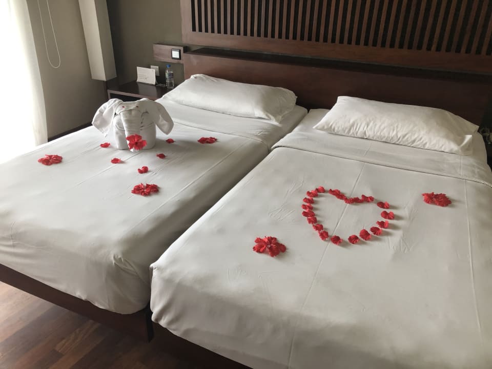Zimmer Occidental Eden Beruwala, a member of Barcelo Hotel Group