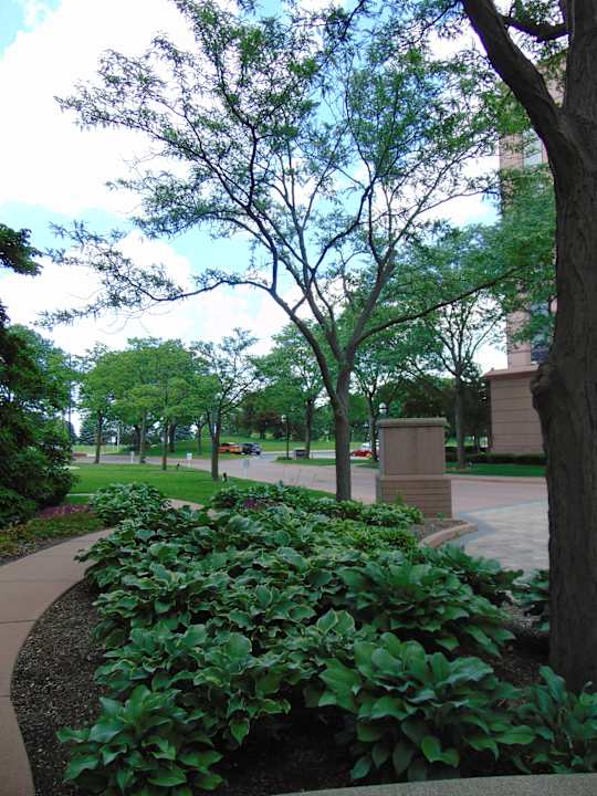 Gartenanlage Hotel The Henry