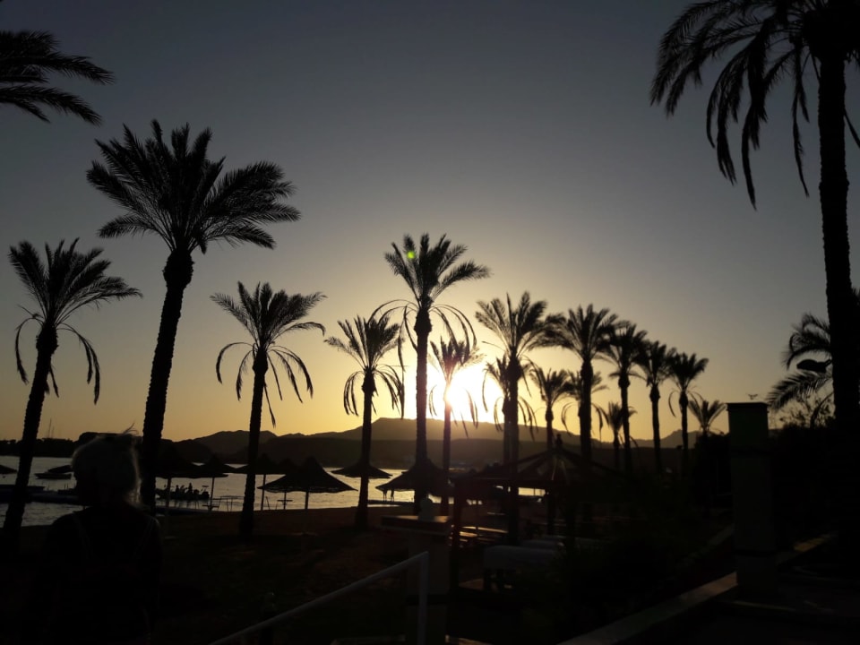 Ausblick Pickalbatros Aqua Park Resort - Sharm El Sheikh