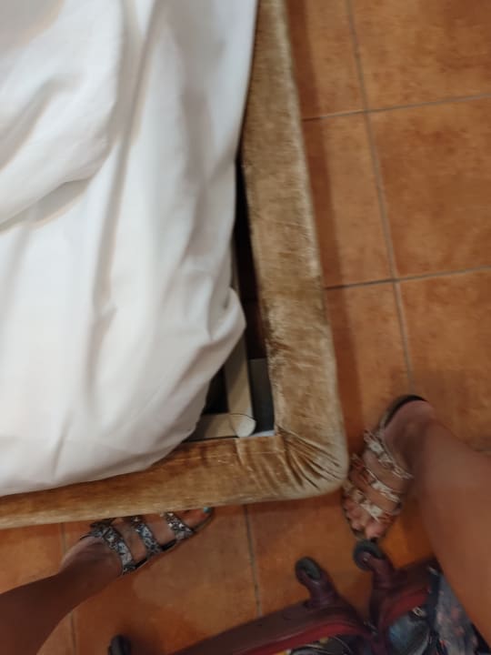 Zimmer Hotel Giardino Degli Ulivi