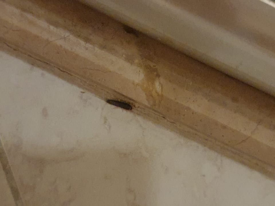 Zimmer Aydinbey Kings Palace & Spa