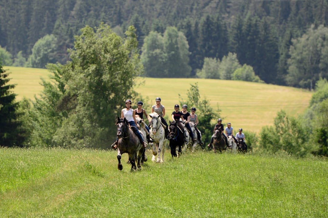 Sport & Freizeit Tigerhill-Ranch-Norikerhof