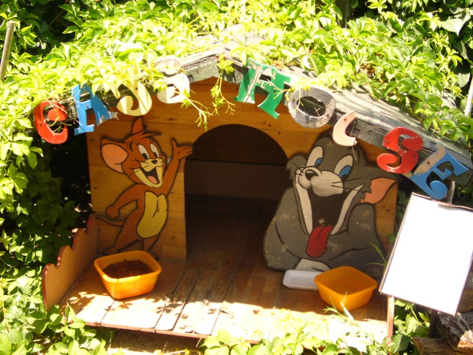 Catshouse für herrenlose Katzen Sunis Evren Beach Resort Hotel & Spa
