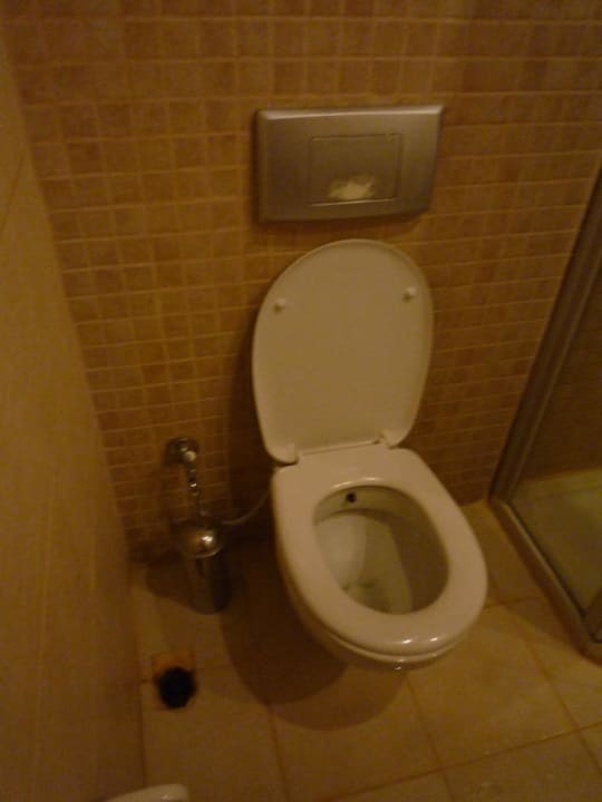 Stinkiges Abflussloch bei der Toilette Alara Hotel