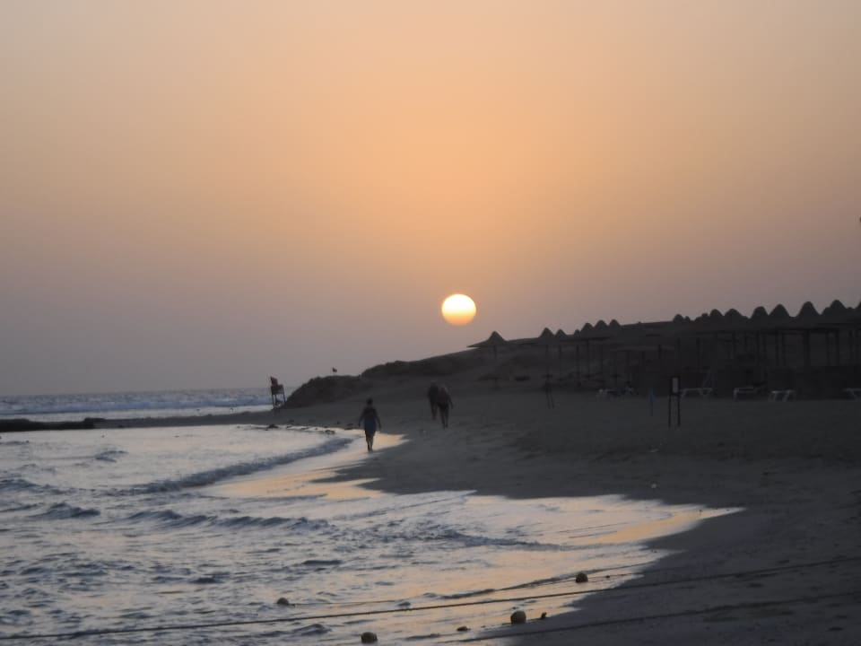 Strand Malikia Resort Abu Dabbab