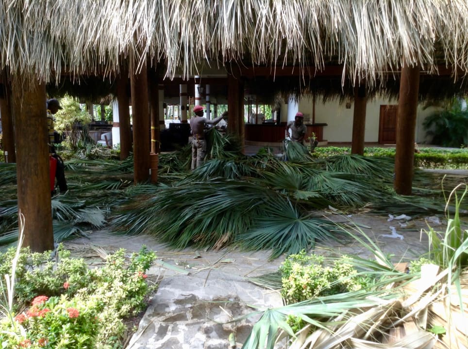 Lobby Grand Palladium Select Bávaro Resort & Spa