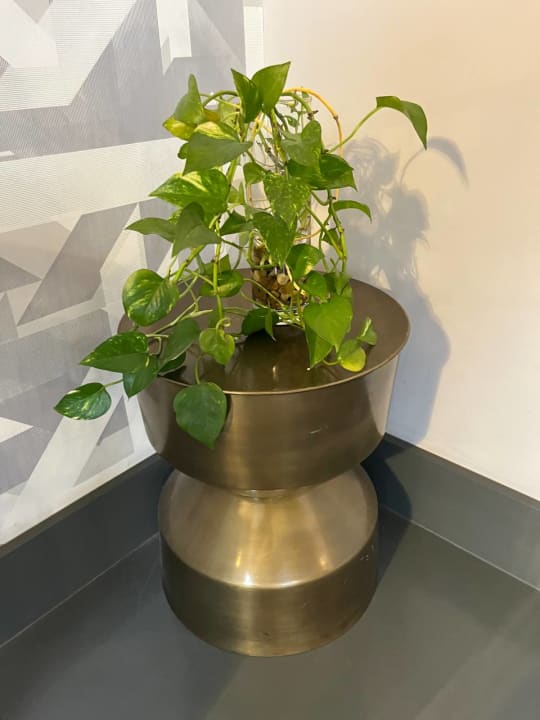 Sonstiges Leonardo Boutique Hotel Rome Termini