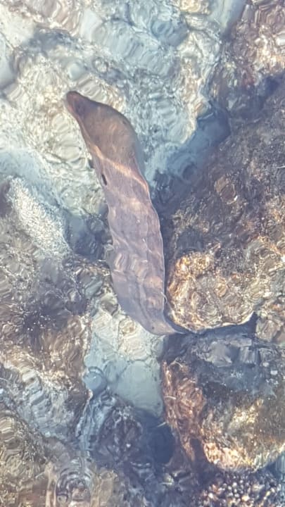 Sonstiges Summer Island Maldives