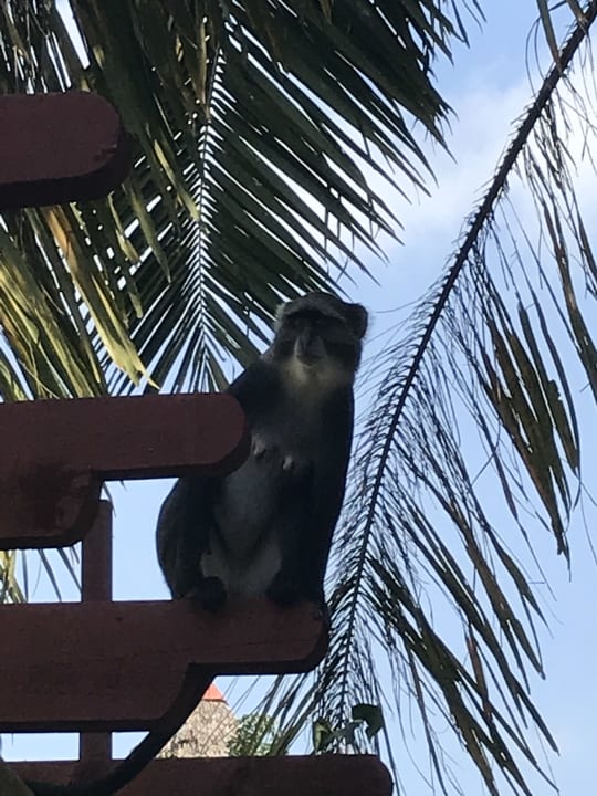 Sonstiges Neptune Village Beach Resort & Spa