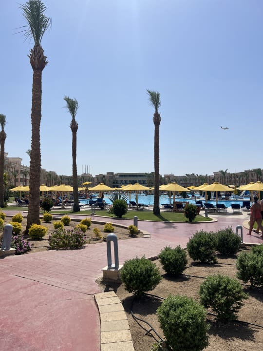 Pool Pickalbatros Palace Resort