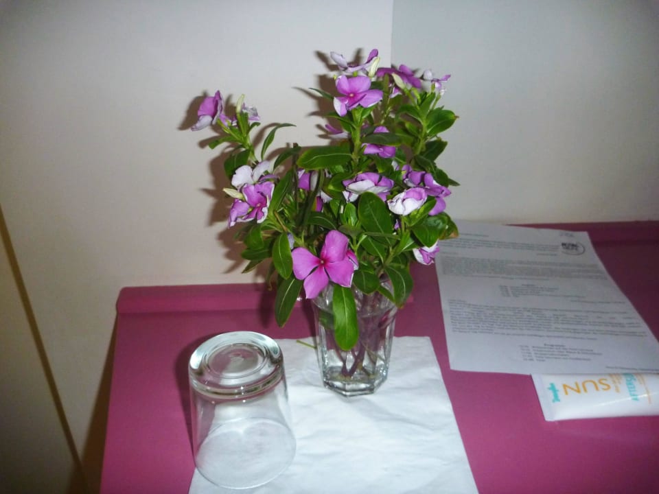 Blümchen von unserem Roomboy- Danke Hotel Mercure Hurghada