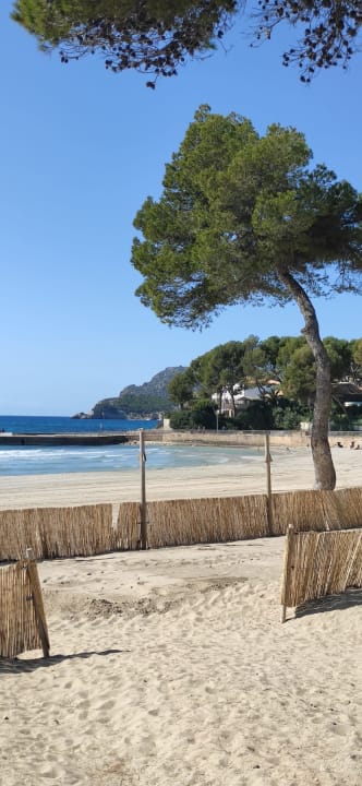 Strand allsun Hotel Bella Paguera