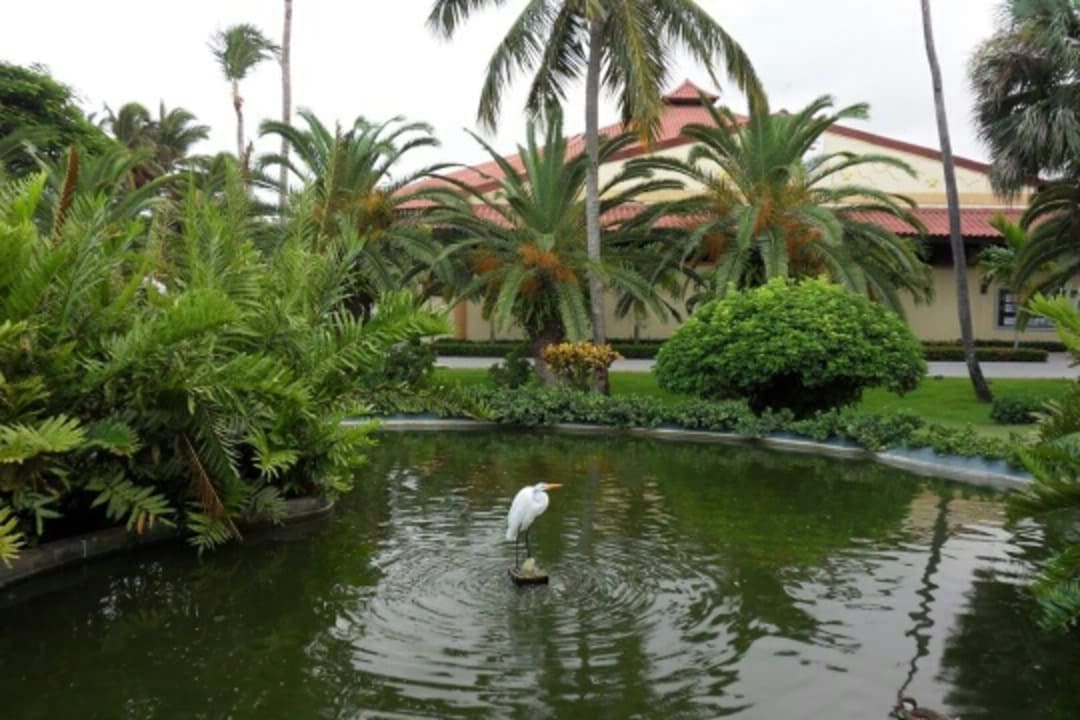 Sonstiges Hotel Grand Palladium Palace Resort, Spa & Casino