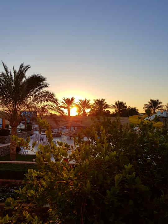 Ausblick Palm Beach Resort