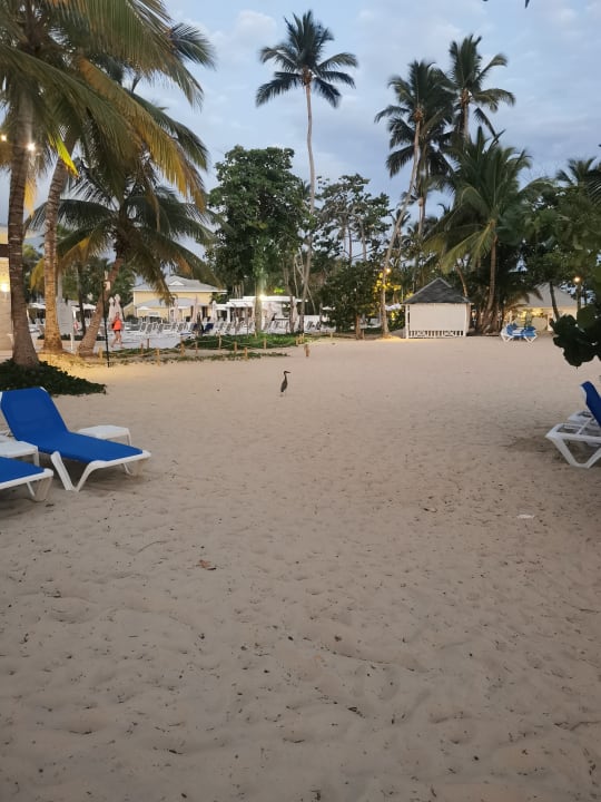 Pool Bahia Principe Grand El Portillo