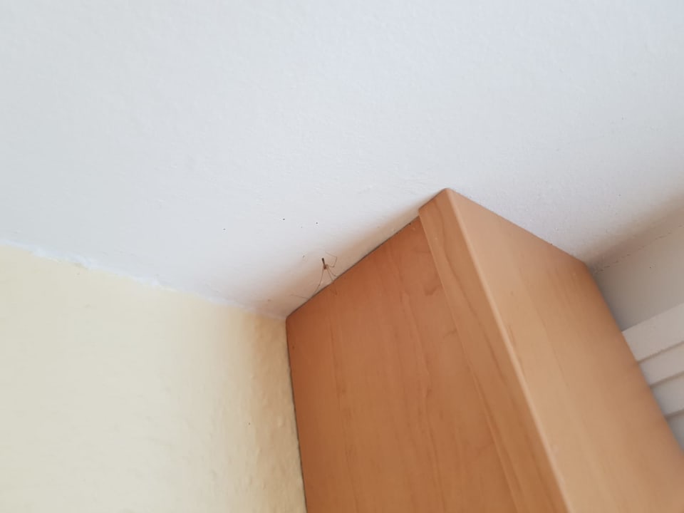 Zimmer Ferienwohnungen Ferienpark Weissenhäuser Strand