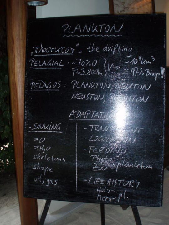 Biostation Kuramathi Maldives