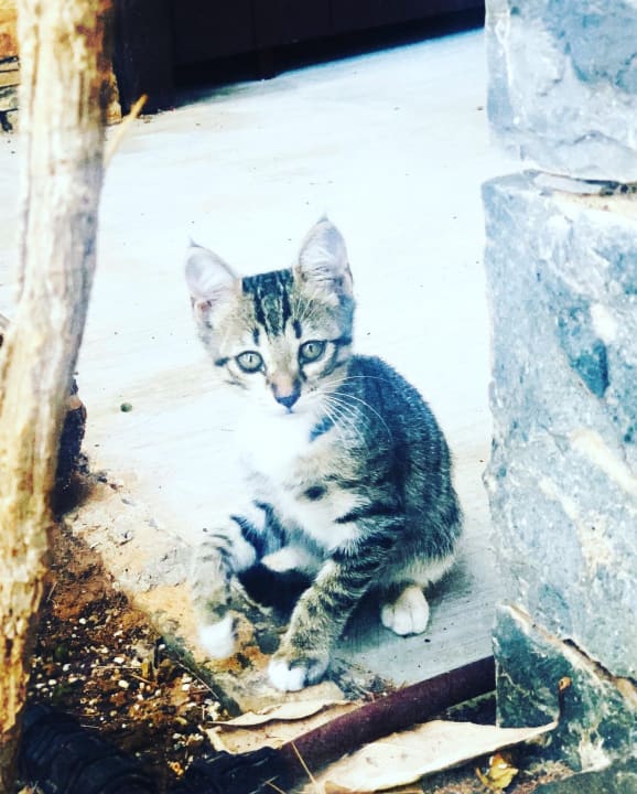 Gartenanlage Creta Maris Resort