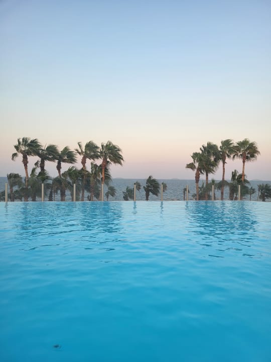 Pool Pickalbatros Citadel Resort