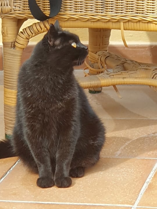 Außenansicht SBH Costa Calma Beach Resort