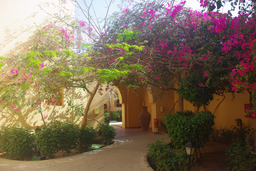 Gartenanlage Steigenberger Coraya Beach - Adults only