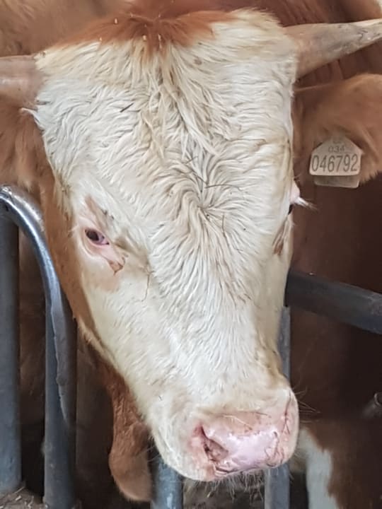 Sonstiges Wellnesshotel Weber