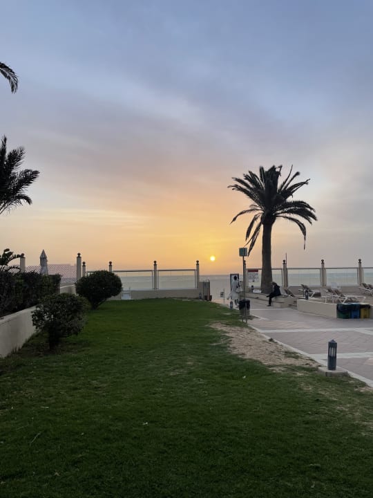 Gartenanlage Hotel Riu Oliva Beach - Hotel