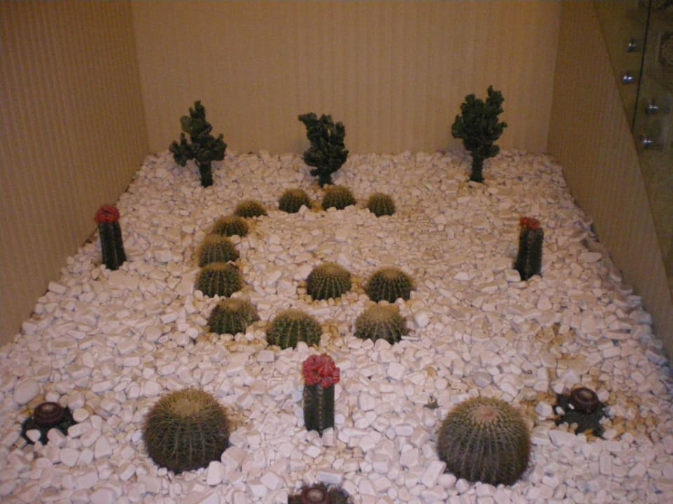 Granada Granada Luxury Okurcalar