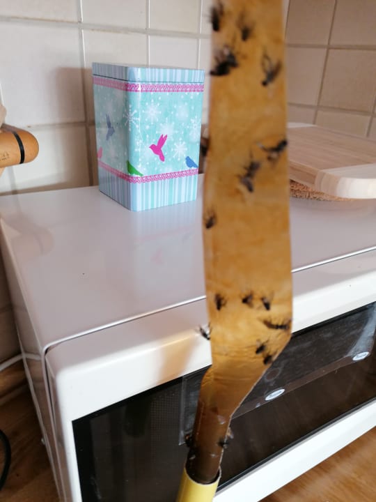 Gastro Ferienwohnung Drei Eichen II