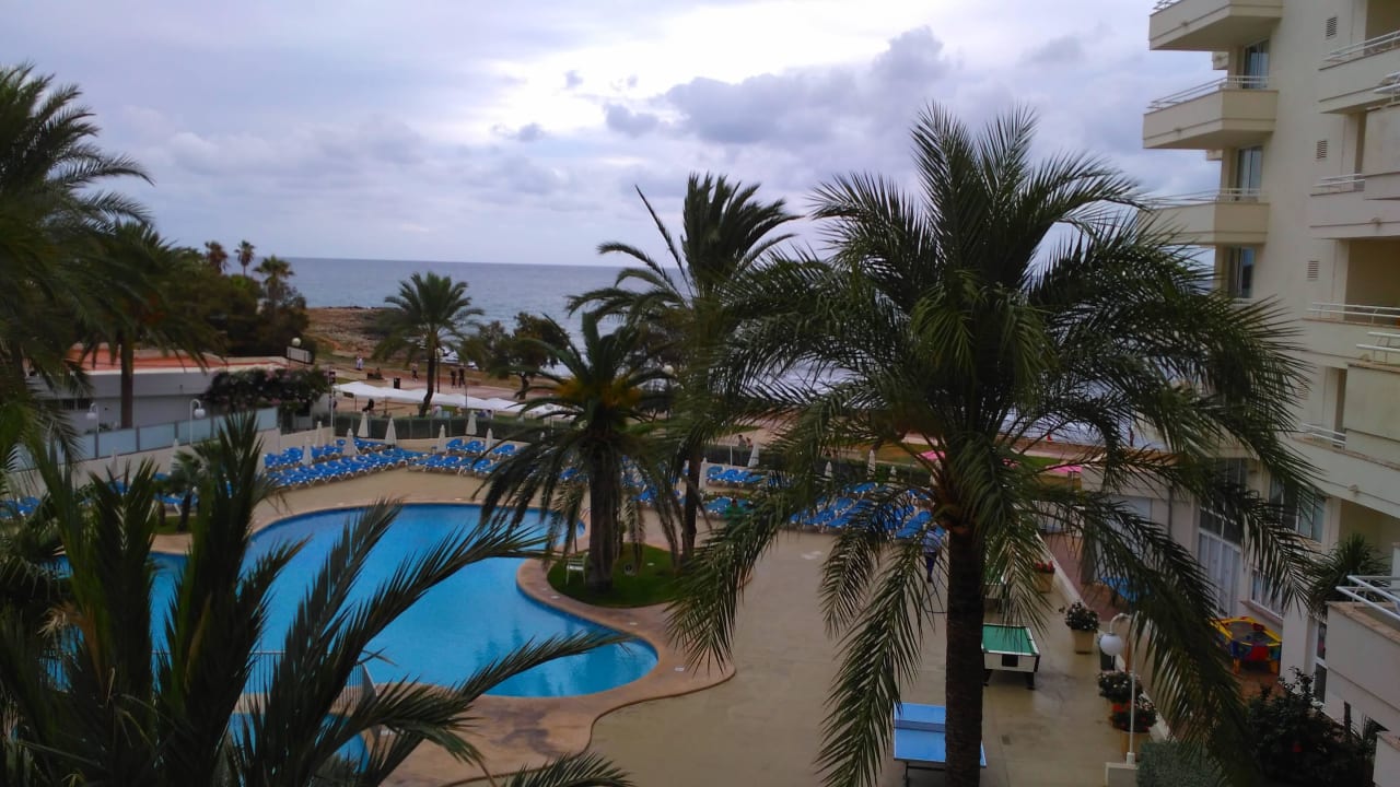 Meer, welches sich hinter den Palmen versteckt Aparthotel Playa Dorada