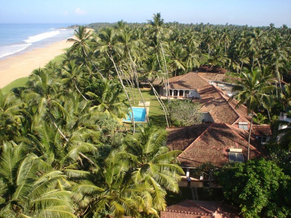 Lotus-villa arial photo Hotel Lotus Villa