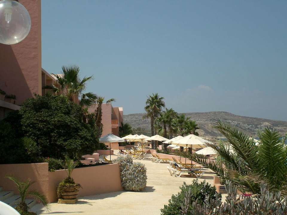 Auf zum Pool  Comino Hotel & Bungalows