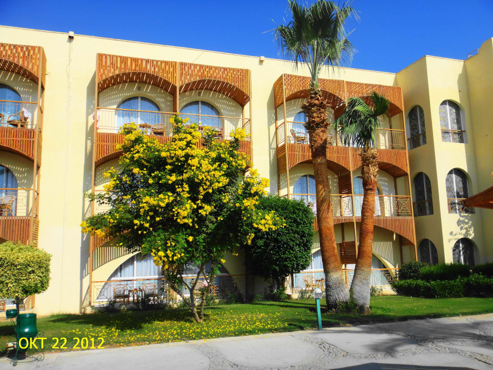 Пейзаж Desert Rose