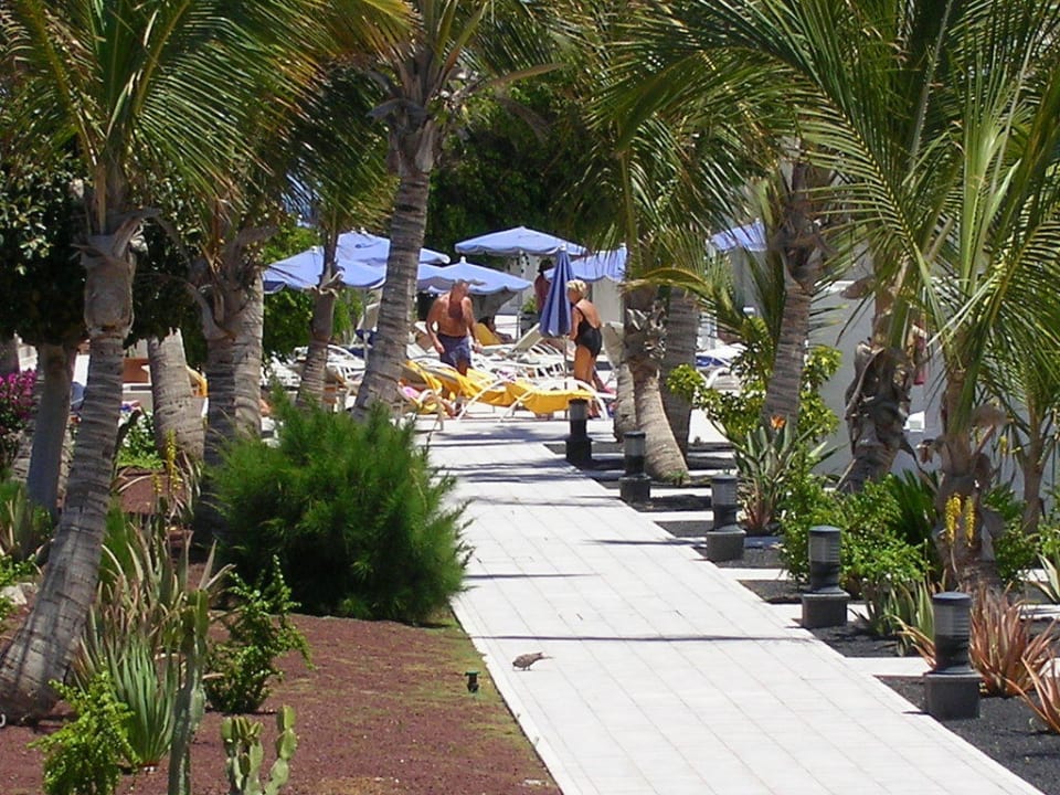 Hotelanlage Hotel Las Costas