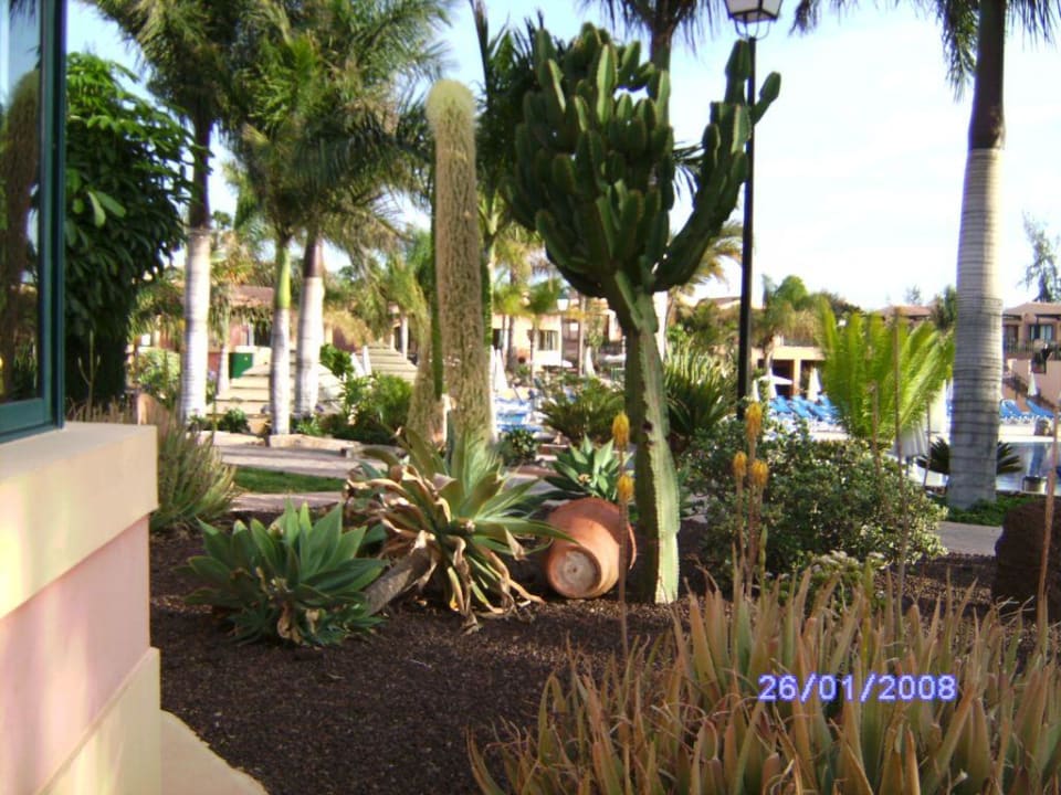 Unser Garten allsun Hotel Esplendido