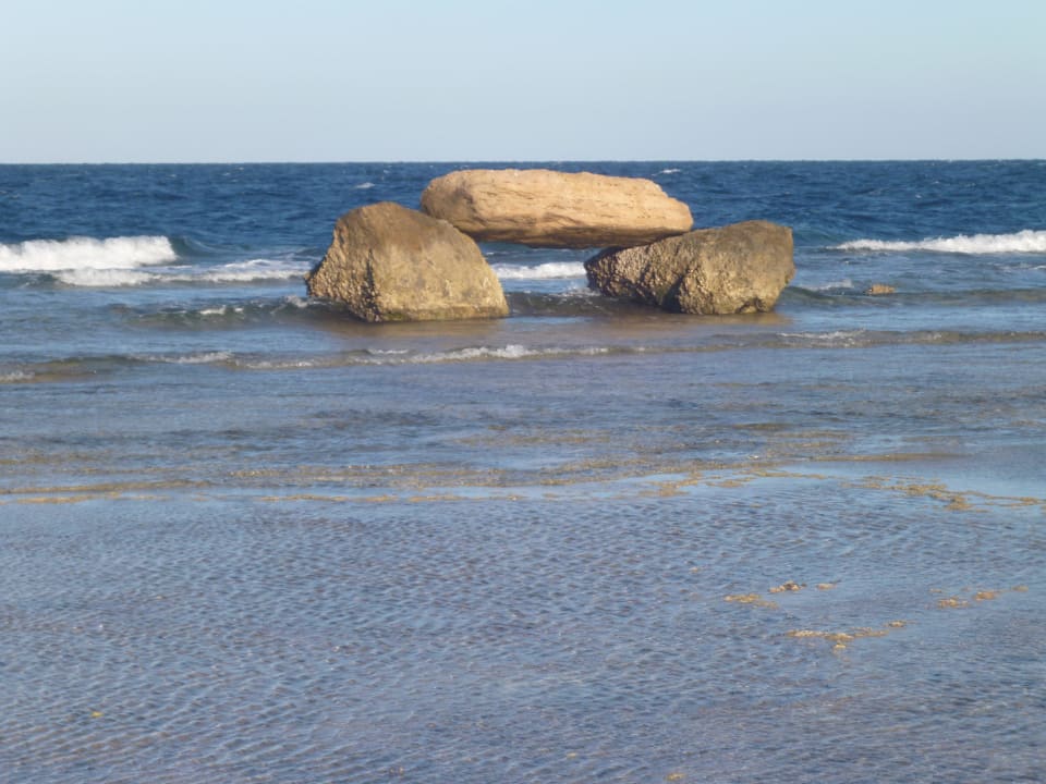 Dahinter liegt das Tauchparadies Pickalbatros Citadel Resort