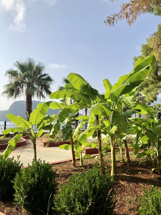 Strand Grand Yazici Club Marmaris Palace