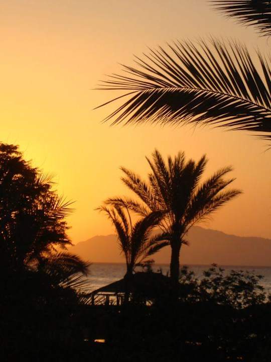 Sonnenaufgang Pickalbatros Royal Grand Resort - Sharm El Sheikh