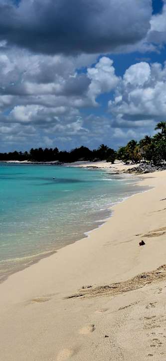 Strand Catalonia Royal La Romana - Adults only