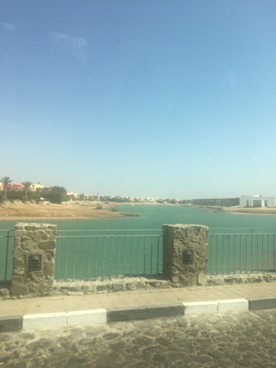 Sonstiges Desert Rose