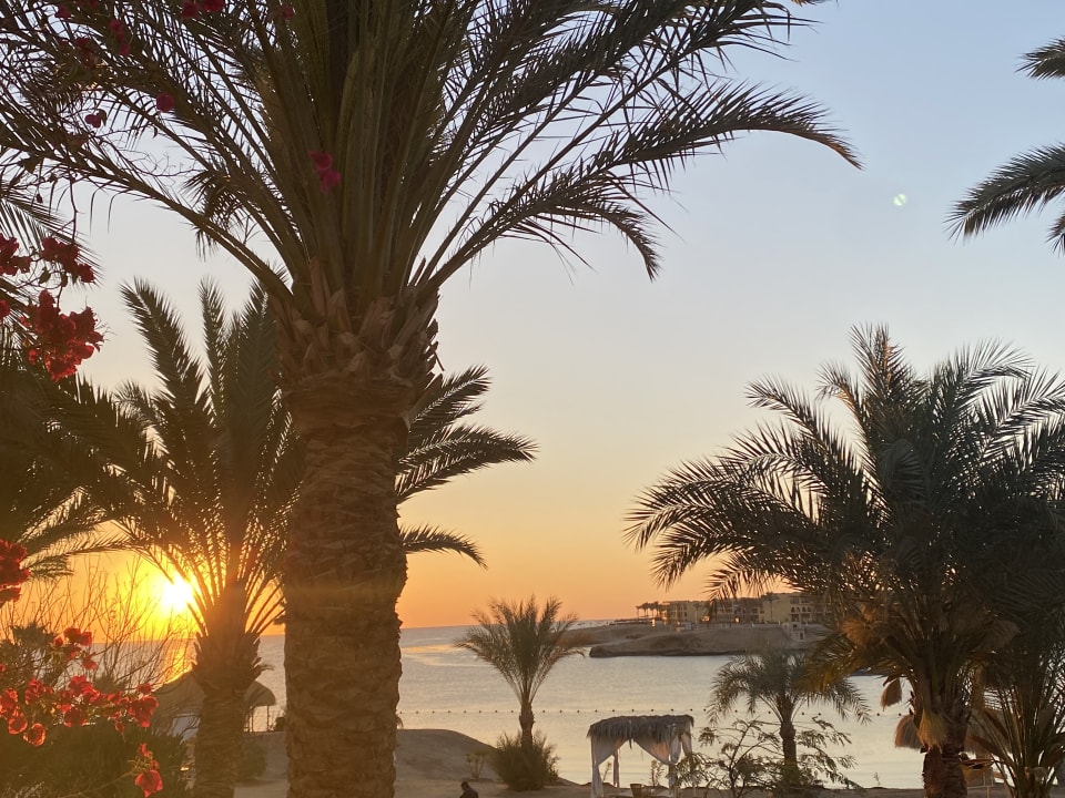 Ausblick Steigenberger Coraya Beach - Adults only