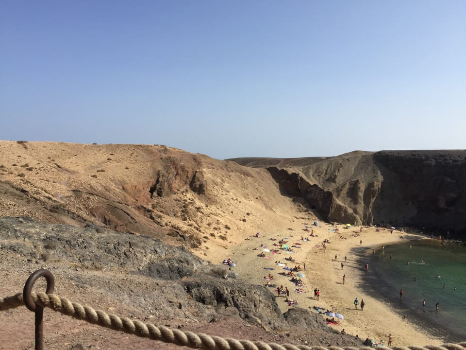 Strand Relaxia Olivina