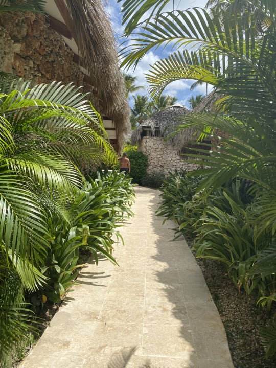 Gartenanlage Hotel Viva Dominicus Beach by Wyndham - All Inclusive Resort