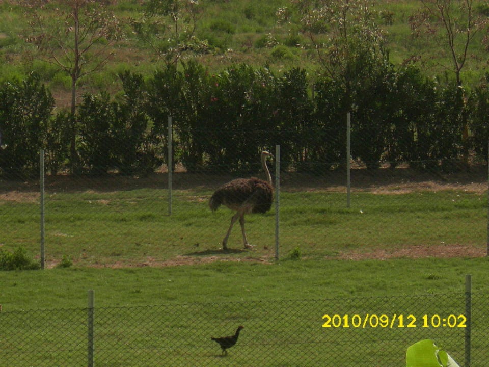 Hoteleigener Tiergarten Belek Beach Resort Hotel
